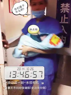 想成为最受欢迎的博物馆馆长？何不试试奇趣博物馆最新版？