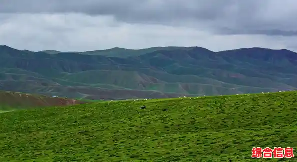 探讨恢复的本质:心理、生态与文化层面的深度解析 探讨恢复的本质:心理、生态与文化层面的深度解析