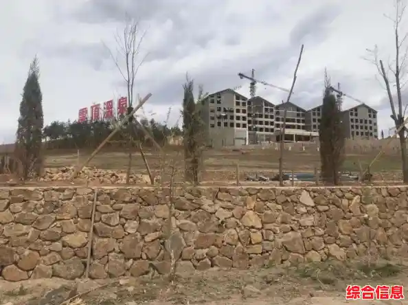 探讨恢复的本质:心理、生态与文化层面的深度解析 探讨恢复的本质:心理、生态与文化层面的深度解析