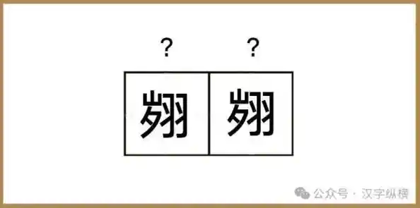 “什么意思啊”背后的深层含义与解读