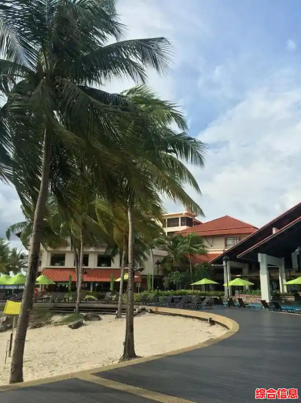 还在找一款超好玩的冒险游戏？海岛王》满足你的生存与探索欲望！