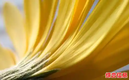 蓝牙键盘与电脑无线配对操作流程详解 蓝牙键盘与电脑无线配对操作流程详解