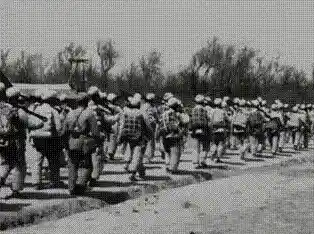 想体验震撼战争策略?口袋奇兵单机版》怎能错过! 想体验震撼战争策略?口袋奇兵单机版》怎能错过!