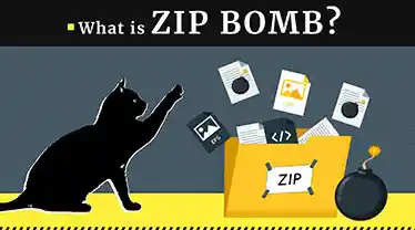 探索zip一词的多重含义与用法解析