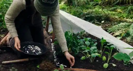 谁不想在黏脚菜园里打造自己的梦幻田园世界呢? 谁不想在黏脚菜园里打造自己的梦幻田园世界呢?
