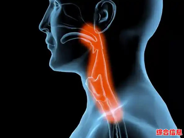 还在寻找好玩的模拟经营游戏?我的小小医院》让你过足医生瘾! 还在寻找好玩的模拟经营游戏?我的小小医院》让你过足医生瘾!