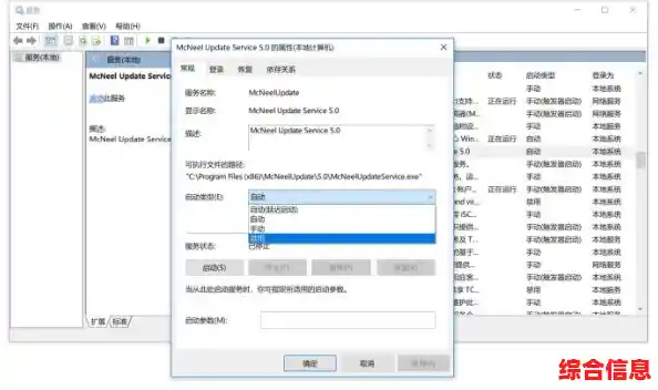 Windows 11系统浏览器设置步骤详解与优化指南 Windows 11系统浏览器设置步骤详解与优化指南