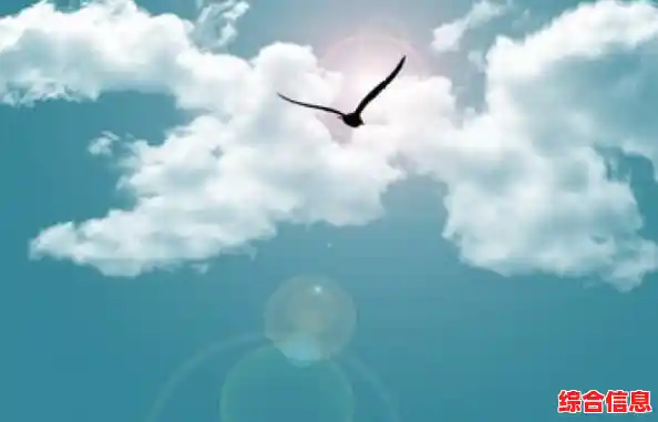 闲暇时光不知如何消磨?孤独的鸟儿免费版》难道不能带给你轻松快乐的体验吗? 闲暇时光不知如何消磨?孤独的鸟儿免费版》难道不能带给你轻松快乐的体验吗?