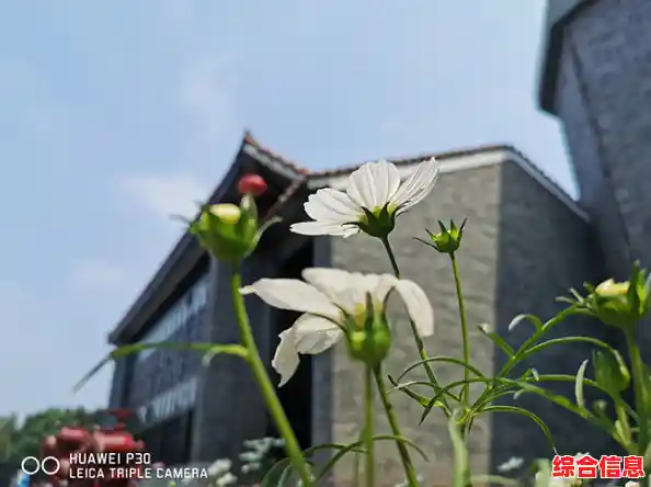 探索华为P30的拍照潜能:轻松提升照片质感与专业度 探索华为P30的拍照潜能:轻松提升照片质感与专业度