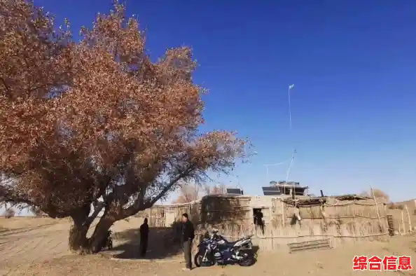 山地沙漠任你驰骋，越野摩托挑战》为何不试试？