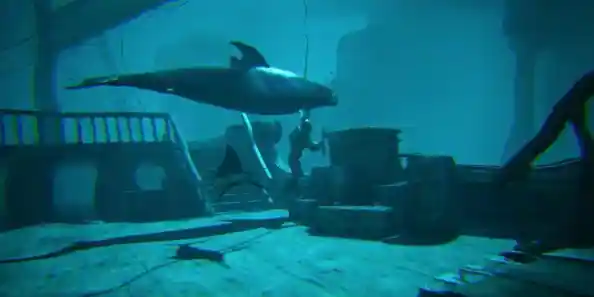 探索平方符号的输入方式：详细步骤与操作指南