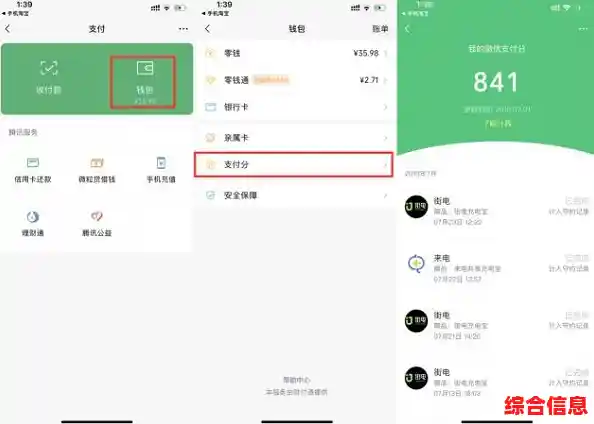 微信支付分查询方法全解析,轻松掌握个人信用状况查看步骤 微信支付分查询方法全解析,轻松掌握个人信用状况查看步骤
