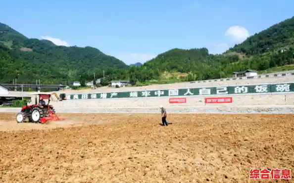 山东农信:金融活水精准灌溉,绘就乡村振兴新画卷 山东农信:金融活水精准灌溉,绘就乡村振兴新画卷