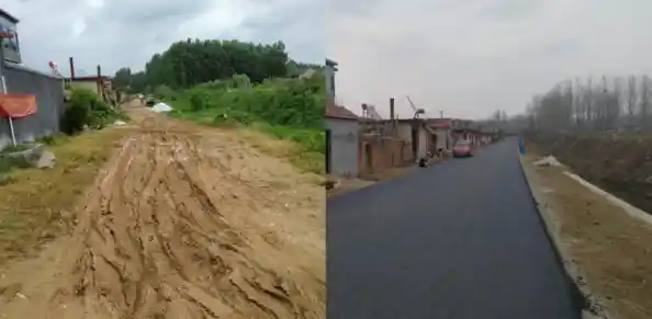 山东农信:金融活水精准灌溉,绘就乡村振兴新画卷 山东农信:金融活水精准灌溉,绘就乡村振兴新画卷