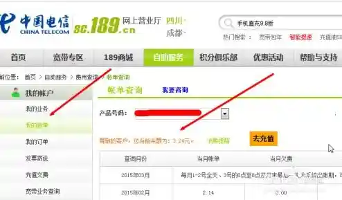 轻松掌握流量动态：电信用户查询余额及使用情况全攻略