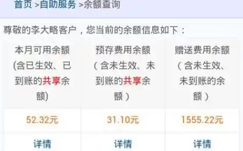 轻松掌握流量动态：电信用户查询余额及使用情况全攻略