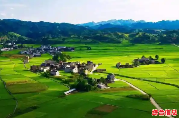 种植养殖样样精通?农场小镇正版等你来展现创造力! 种植养殖样样精通?农场小镇正版等你来展现创造力!