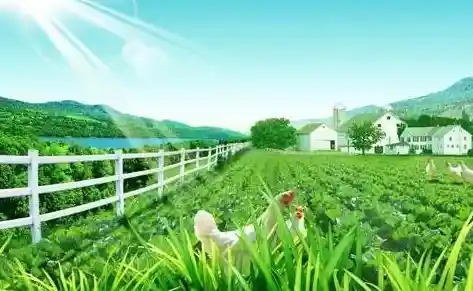 种植养殖样样精通?农场小镇正版等你来展现创造力! 种植养殖样样精通?农场小镇正版等你来展现创造力!