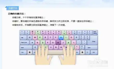 小鱼教您快速掌握打字技巧,轻松提升打字速度与准确性的练习软件 小鱼教您快速掌握打字技巧,轻松提升打字速度与准确性的练习软件