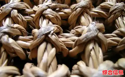 全面解析HP驱动下载步骤，确保设备高效运行