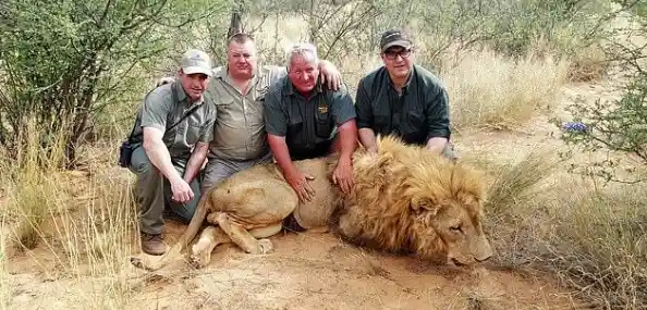 猎杀之旅:野外狩猎技巧全攻略,助你晋升顶级猎人行列! 猎杀之旅:野外狩猎技巧全攻略,助你晋升顶级猎人行列!