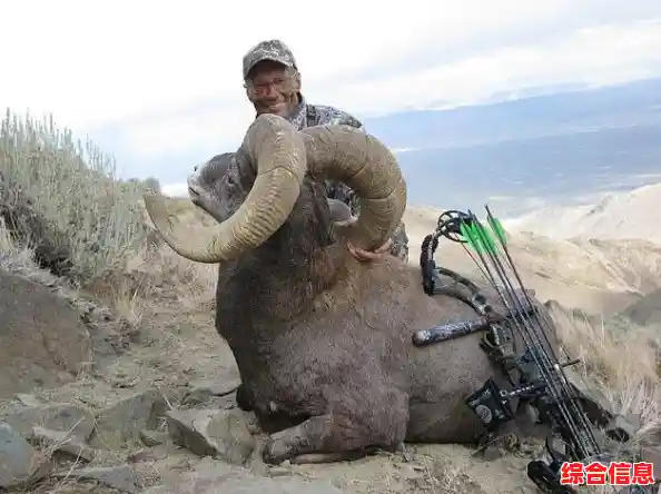 猎杀之旅:野外狩猎技巧全攻略,助你晋升顶级猎人行列! 猎杀之旅:野外狩猎技巧全攻略,助你晋升顶级猎人行列!