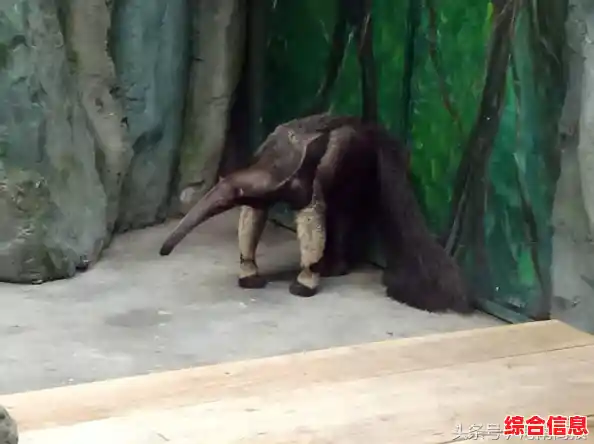 《想用必杀技横扫怪兽?满足你的英雄梦! 《想用必杀技横扫怪兽?满足你的英雄梦!