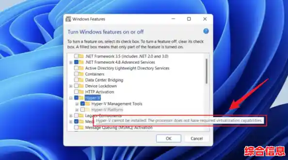 Win11电脑exe程序安装指南：从下载到运行的完整教程