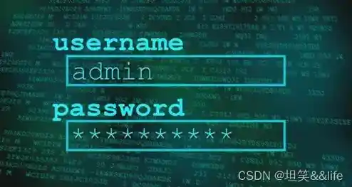 解密黑客密码：探索数字安全背后的技术与挑战