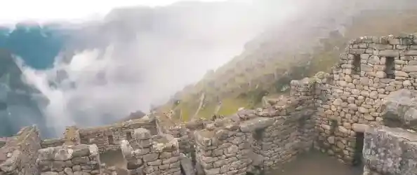 探索《失落之城》的奇幻森林,你的冒险思维够缜密吗? 探索《失落之城》的奇幻森林,你的冒险思维够缜密吗?