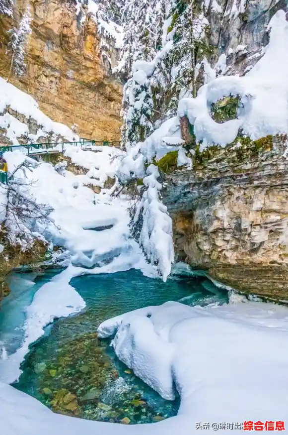 [QQ仙境]开启魔法之旅，探索未知领域与惊喜任务系统