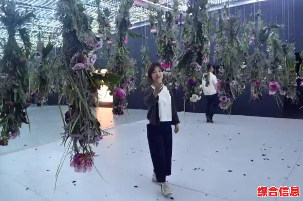 畅享视听盛宴，精选高清影音DVD光盘收藏版