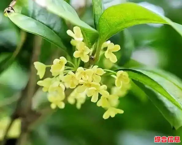 可爱小狗的星星冒险，你准备好解开《星径》的谜题了吗？