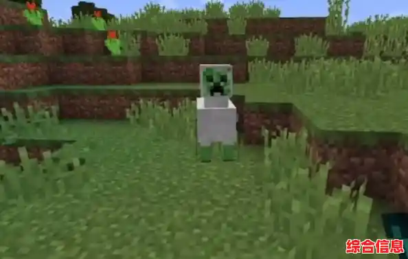 还在找免费高自由度的沙盒游戏?试试Minecraft国际版吧! 还在找免费高自由度的沙盒游戏?试试Minecraft国际版吧!