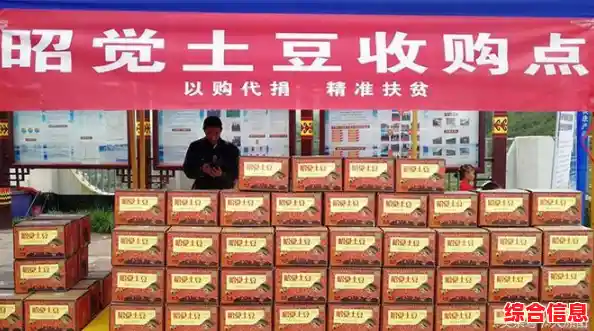 智能农业管理平台土豆系统,实现精准种植与智慧决策 智能农业管理平台土豆系统,实现精准种植与智慧决策