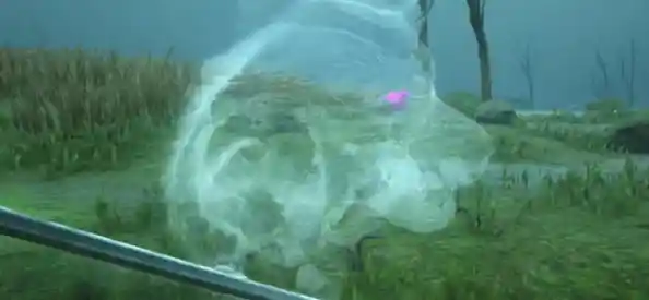 为何迷你世界2020老旧版本能成为玩家心中的永恒沙盒经典? 为何迷你世界2020老旧版本能成为玩家心中的永恒沙盒经典?