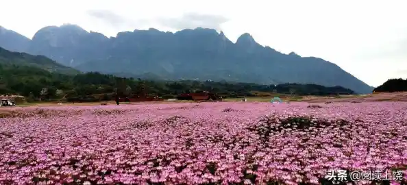 Windows平板:轻巧机身蕴藏强大实力,随时随地畅享高效体验 Windows平板:轻巧机身蕴藏强大实力,随时随地畅享高效体验