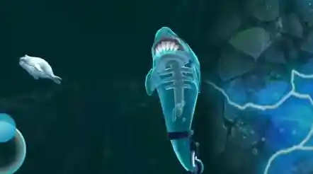 想体验惊险刺激的深海吞噬冒险?不如试试《饥饿鲨进化国际版》 想体验惊险刺激的深海吞噬冒险?不如试试《饥饿鲨进化国际版》