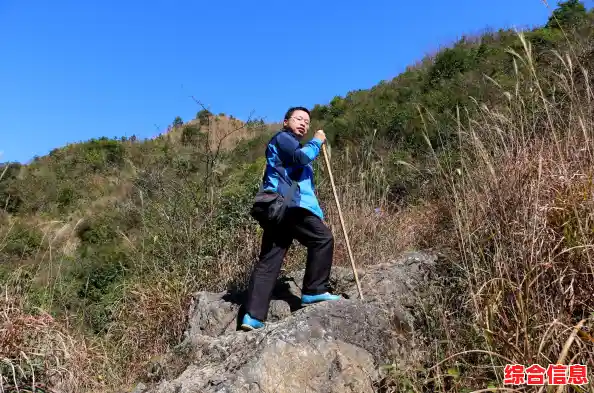 还在为赛车游戏缺少挑战而烦恼?登山赛车正式版》复杂山路等你征服! 还在为赛车游戏缺少挑战而烦恼?登山赛车正式版》复杂山路等你征服!