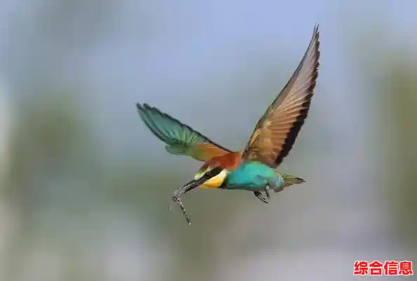 想体验复古魅力?闲置猎手》这款像素风动作冒险游戏你确定不试试吗? 想体验复古魅力?闲置猎手》这款像素风动作冒险游戏你确定不试试吗?