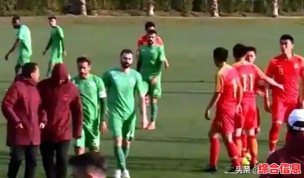 如何用不同植物对抗僵尸？植物大战僵尸95版手机版等你来挑战！