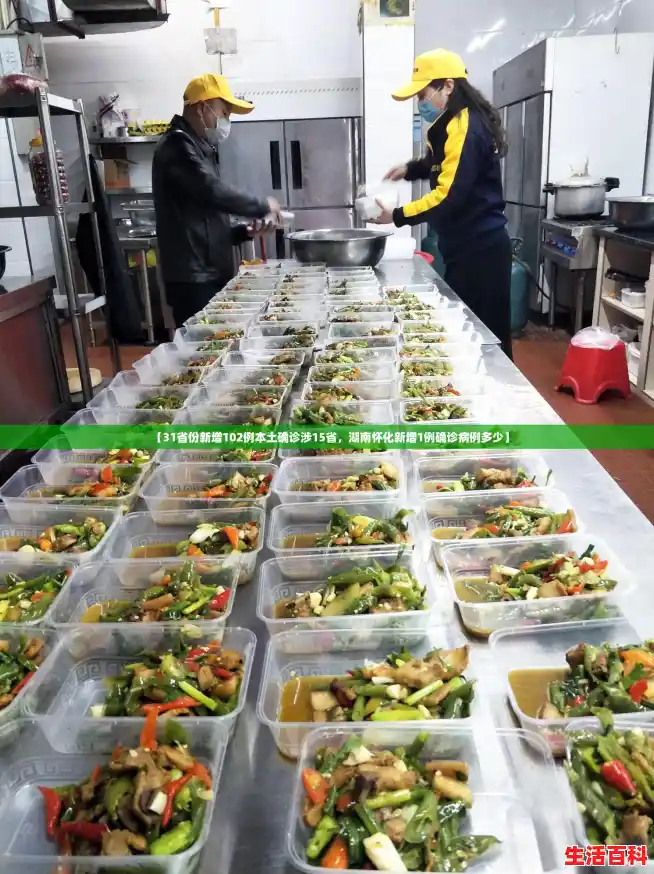 【31省份新增102例本土确诊涉15省，湖南怀化新增1例确诊病例多少】