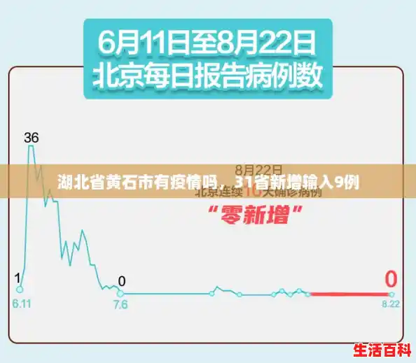 湖北省黄石市有疫情吗,31省新增输入9例 湖北省黄石市有疫情吗,31省新增输入9例