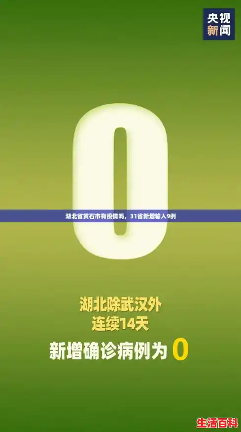 湖北省黄石市有疫情吗,31省新增输入9例 湖北省黄石市有疫情吗,31省新增输入9例