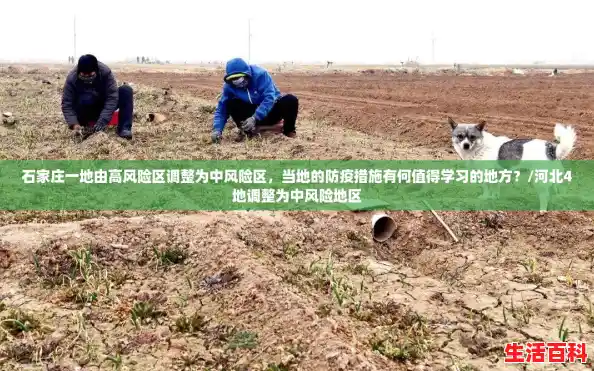 石家庄一地由高风险区调整为中风险区，当地的防疫措施有何值得学习的地方？/河北4地调整为中风险地区