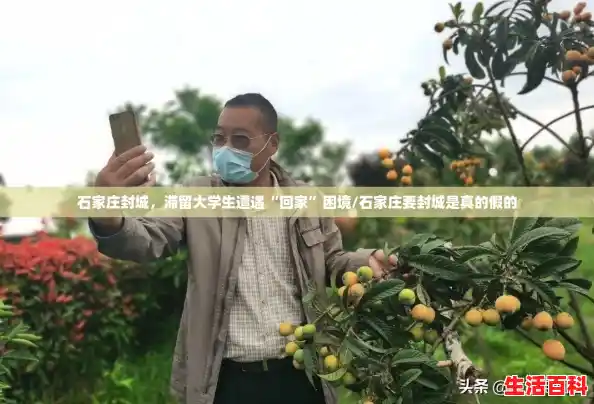 石家庄封城,滞留大学生遭遇“回家”困境/石家庄要封城是真的假的 石家庄封城,滞留大学生遭遇“回家”困境/石家庄要封城是真的假的