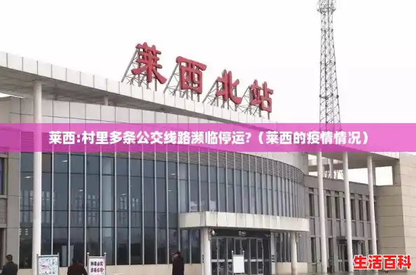 莱西:村里多条公交线路濒临停运?（莱西的疫情情况）