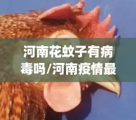 河南花蚊子有病毒吗/河南疫情最新消息今天 河南花蚊子有病毒吗/河南疫情最新消息今天