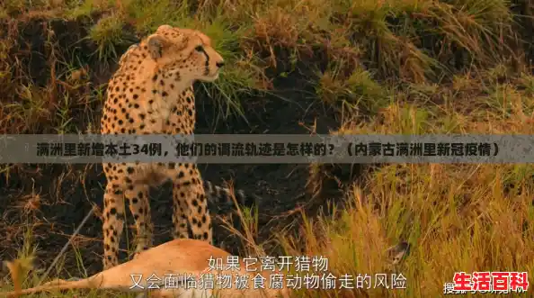 满洲里新增本土34例，他们的调流轨迹是怎样的？（内蒙古满洲里新冠疫情）