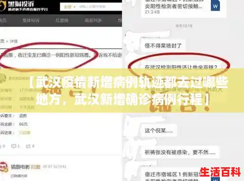 【武汉疫情新增病例轨迹都去过哪些地方，武汉新增确诊病例行程】